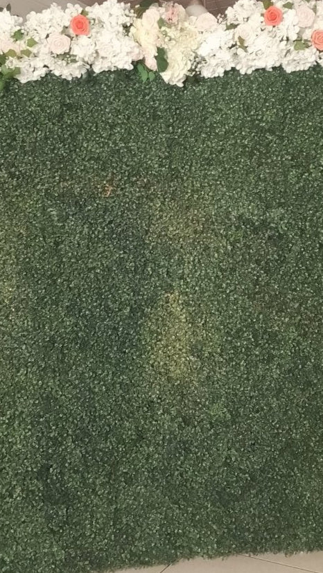 5x6ft Greenery Backdrop Wall Rental – Lush, Photo - Ready Event Decor - Savoury Luxury Events