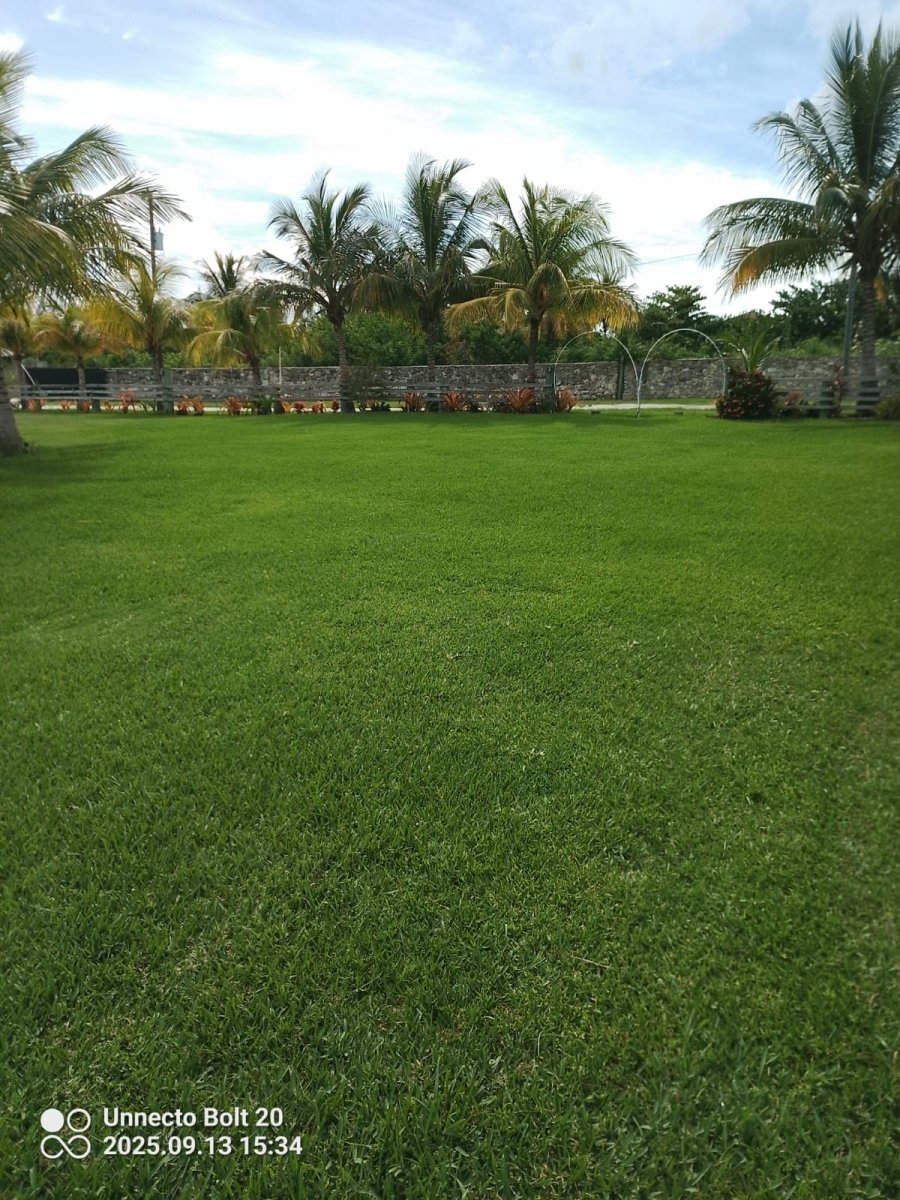 Mashamba - Savoury Luxury Events