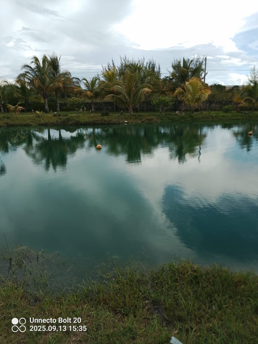 Mashamba - Savoury Luxury Events