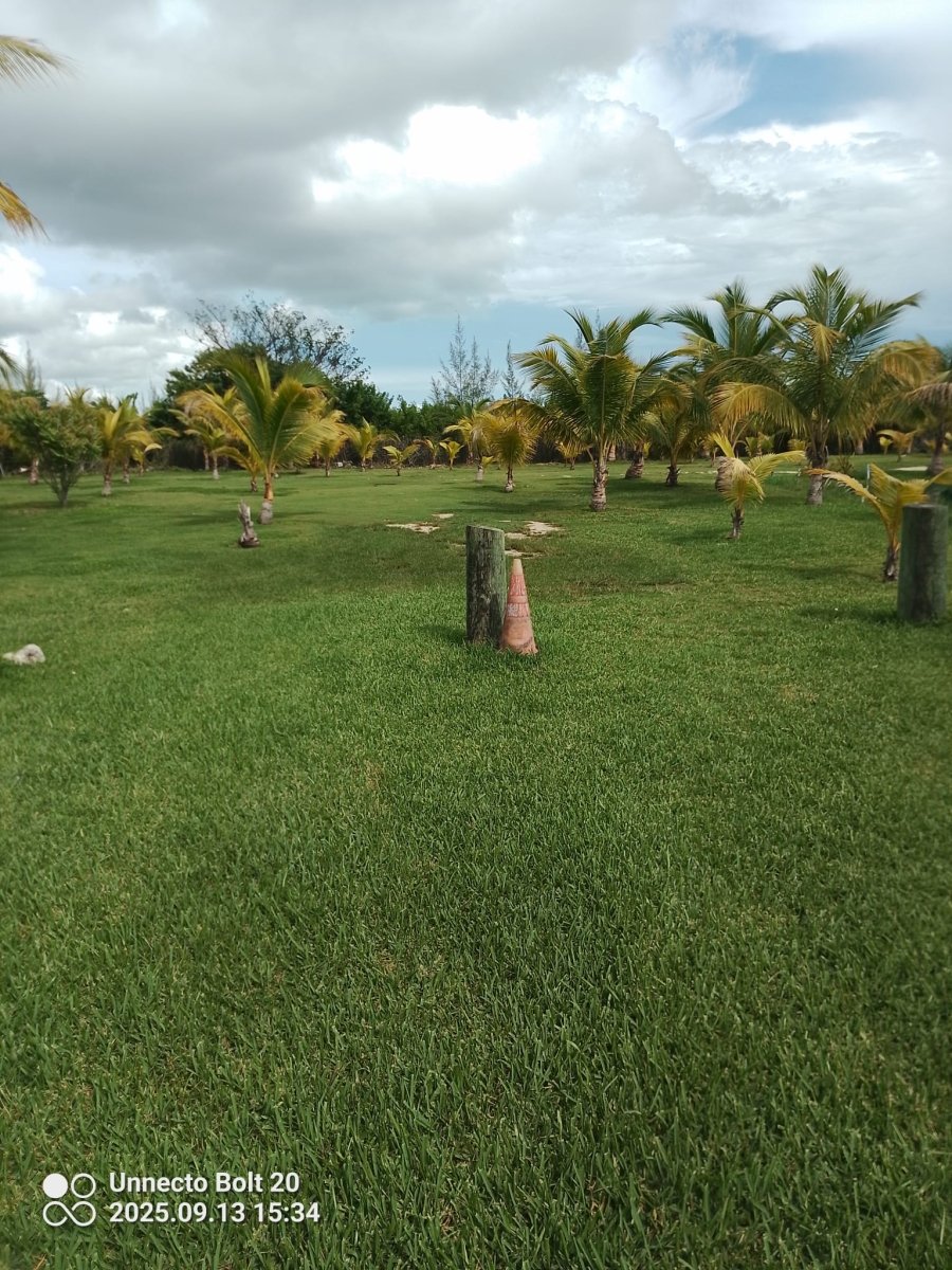 Mashamba - Savoury Luxury Events