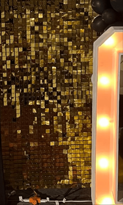 Shimmer Wall 5x6 foot - Savoury Luxury Events