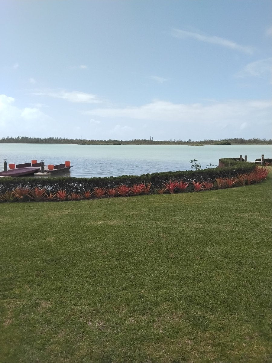 Utopia Gardens - Savoury Luxury Events